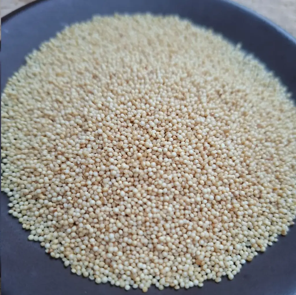 Amaranto Peruano Semilla