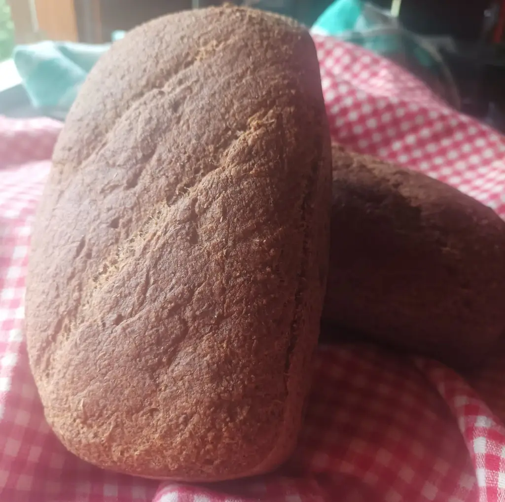 Pan de Garbanzo Sin Gluten