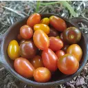 Tomates cóctel Orgánicos