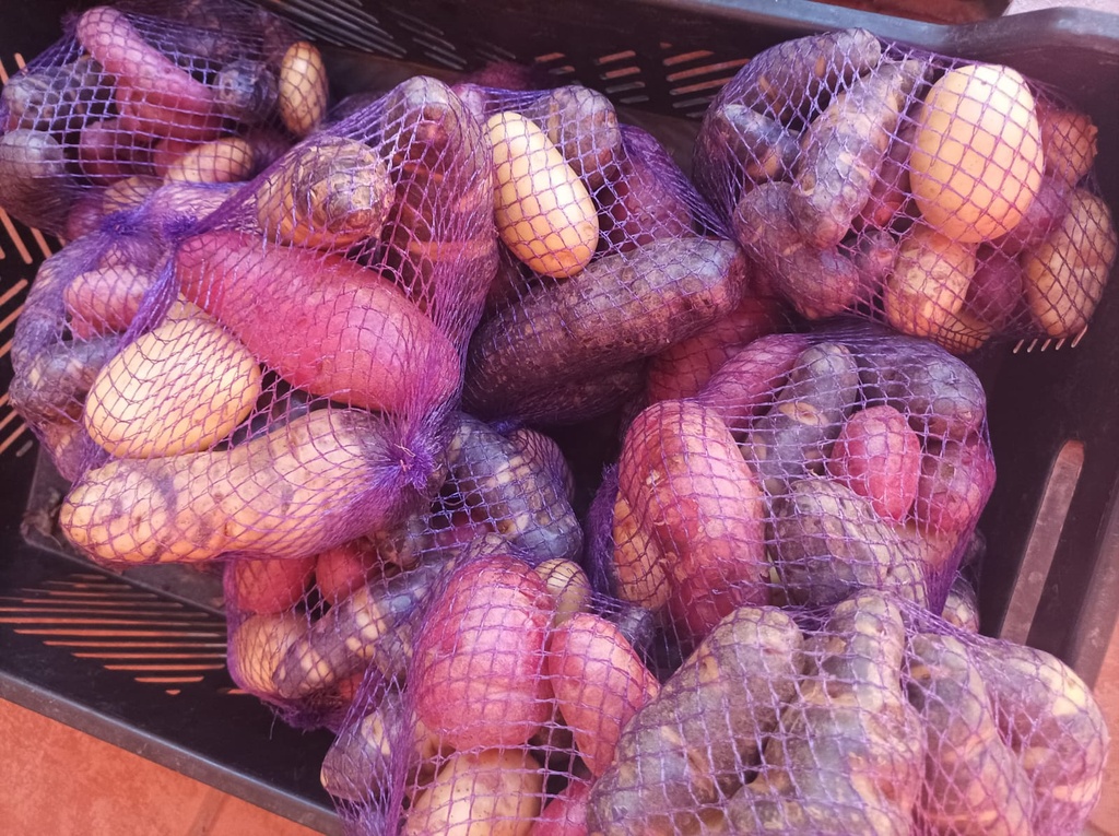 Papas Nativas de colores orgánicas