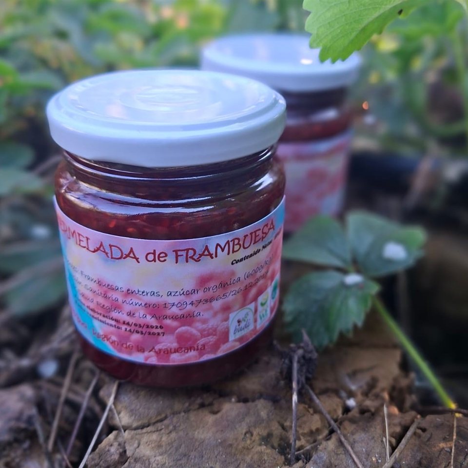 Mermelada de Frambuesa Orgánica · Lago Budi 280 g