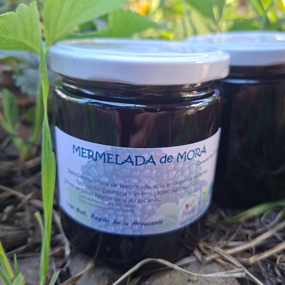 Mermelada de Mora Orgánica · Lago Budi 500 g