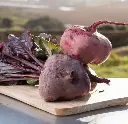 Betarragas Araucanas orgánicas 1kilo