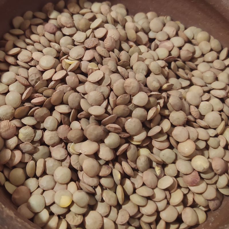 Lentejas campesinas Chilenas 1kg.