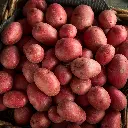 Papas orgánicas Araucanas 3k