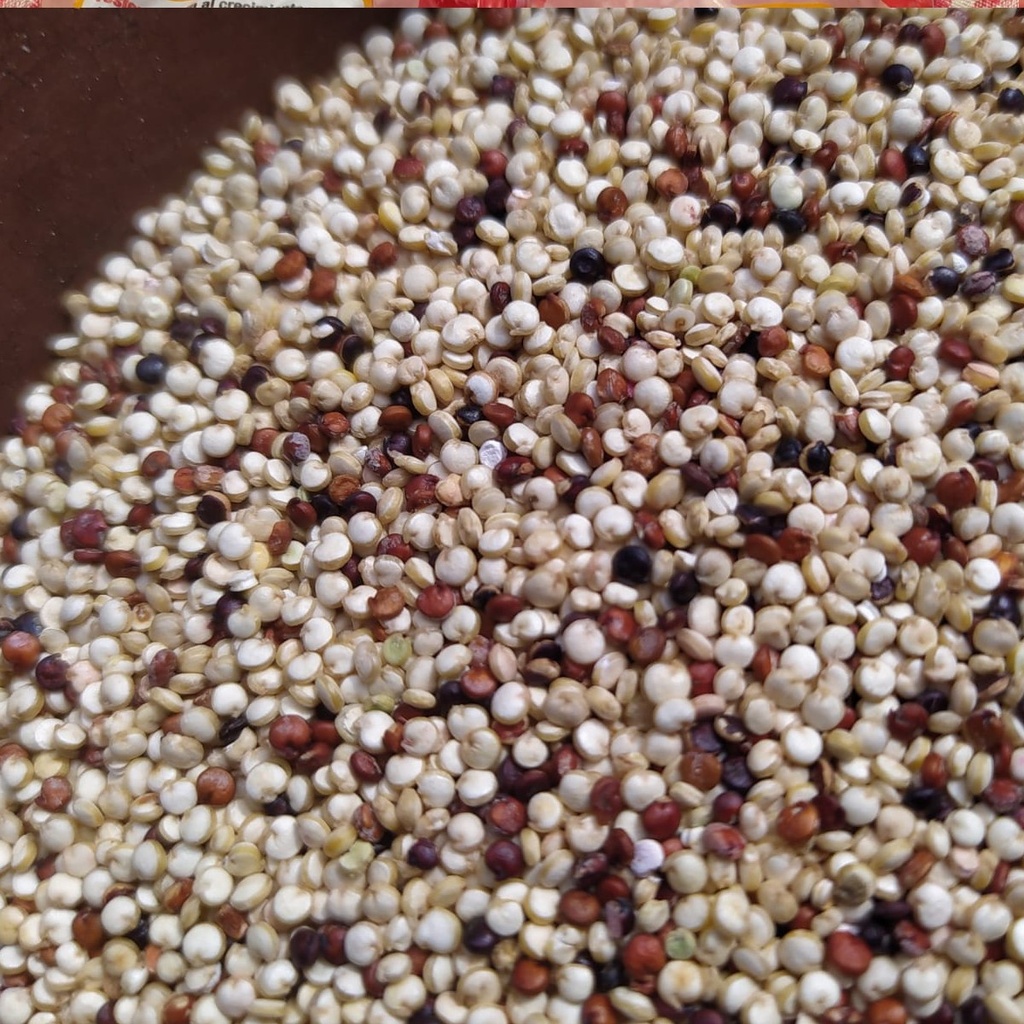 Quinoa Tricolor del Perú - 1 kg.