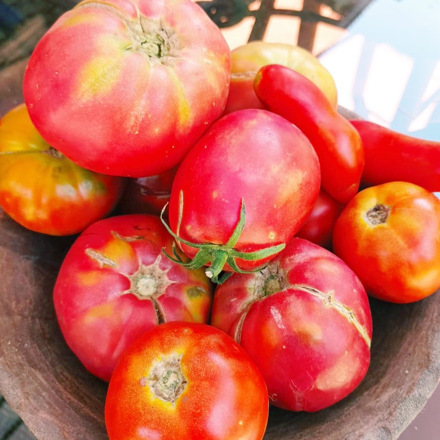 Tomates Orgánicos Mix 1 1/2Kg