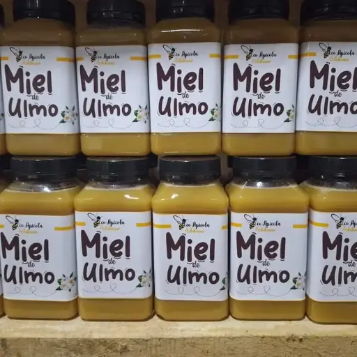 Miel de Ulmo