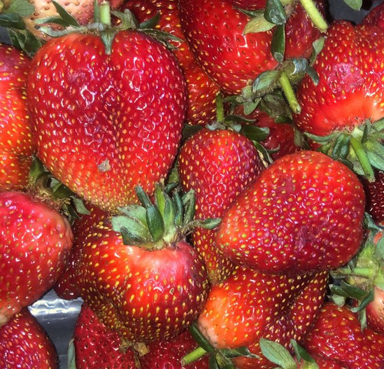 Frutillas Orgánicas