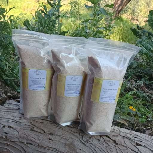 Harina Integral 1 kg