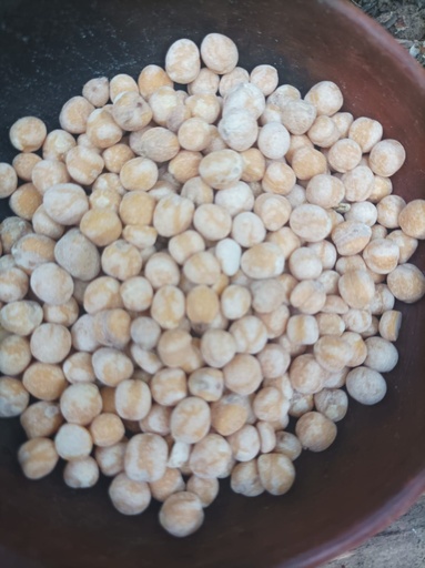 Garbanzo Chileno sin piel 1k