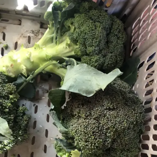 Brócoli orgánico