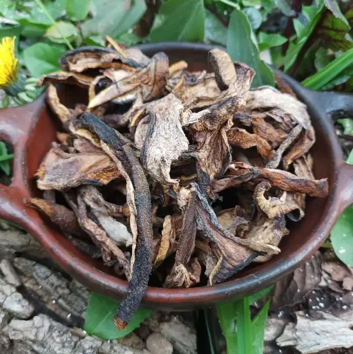 Callampas Secas del Maule