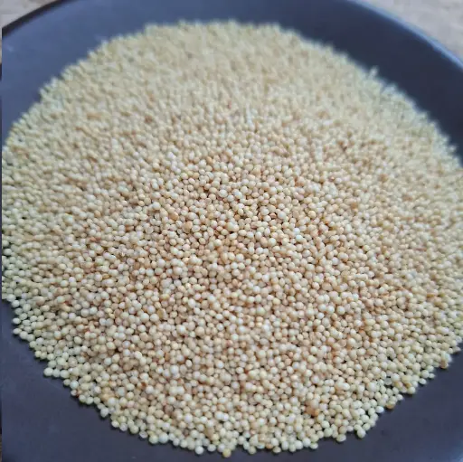 Amaranto Peruano Semilla