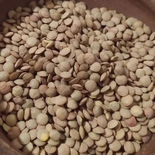 Lentejas Campesinas Santa Regina · Sin Gluten · 1 kg