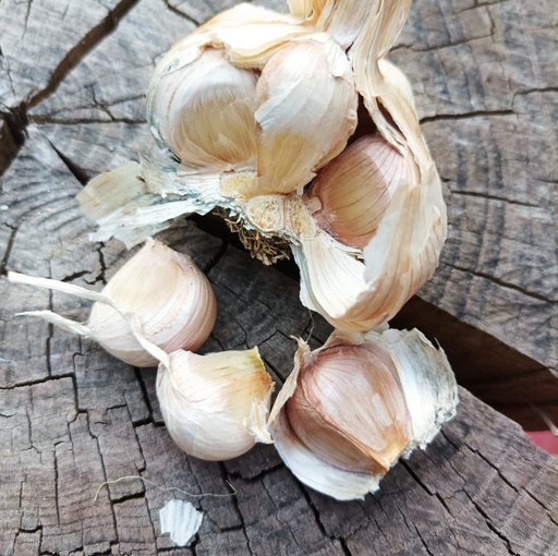 Ajos chilenos 2 unidades