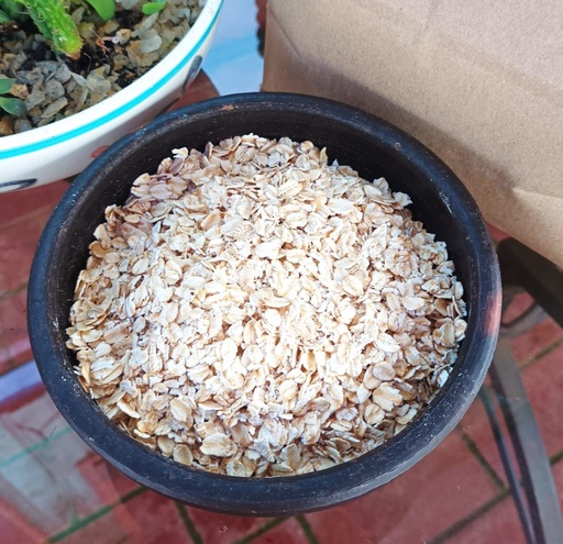 Avena en hojuelas - 1.5 kgs.