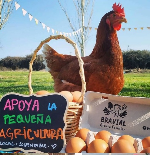 Huevos Agroecológicos