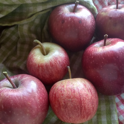 Manzanas Orgánicas 2Kg