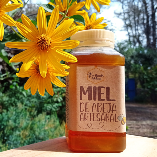 Miel de Abeja Artesanal