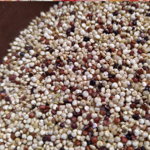 Quinoa Tricolor del Perú - 1 kg.