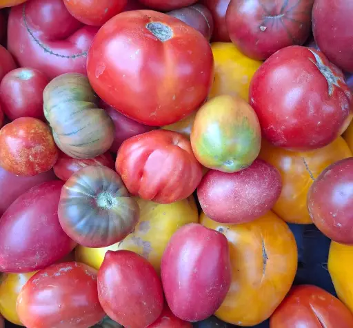 Tomates Orgánicos Mix 1 1/2Kg