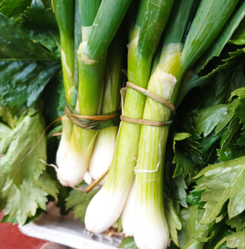 Cebollín Verde orgánico